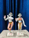 12 Inche Iskon Radha Krishna Murti